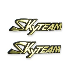 2 x Adesivo in plastica con logo SkyTeam per E-mini