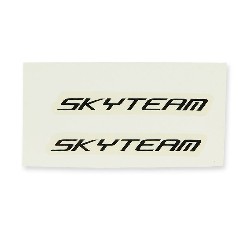 Adesivo SkyTeam x2 (bianco-nero)