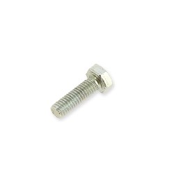 Vite per separatore di olio per frizione completa per motori Skyteam T-REX 125cc, Ricambi Trex Skyteam