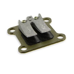 Lamina carbon per mini Dirt Nitro 