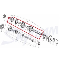 Albero contrario per motori 50-125cc per Trex Skyteam