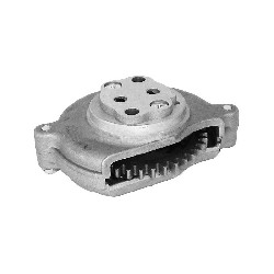 Pompa dell'olio per Quad Shineray 300cc , Ricambi Quad Shineray 300