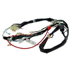 Cablaggio elettrico 36610-17H01 per Skymax 50cc 125cc (prima 10-2015), Ricambi Dax Skymax