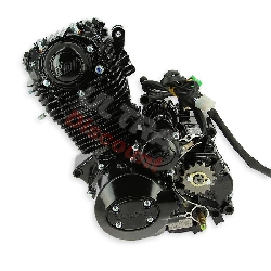 Motore Zongshen 250cc per Pit Bike ZF167FMM-2