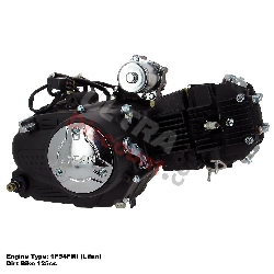 Motore Lifan per Pit  Bike 125cc 1P54FMI