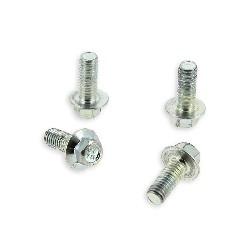 Lotto di 4 viti di fissaggio per disco freno Pit Bike 20mm Tipo 2, Ricambi Pit Bike