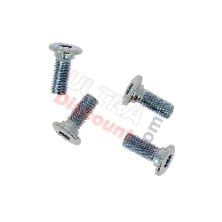 Lotto di 4 viti di fissaggio per disco freno Pit Bike 20mm, Ricambi Pit Bike
