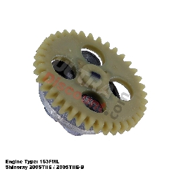 Pompa olio per Quad Shineray 200cc STIIE (163FML), Ricambi Shineray 200STIIE e STIIEB