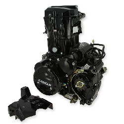 Motore 167MM EURO4 per Quad Bashan 250cc (BS250AS-43)