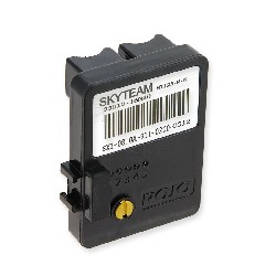 Unità di controllo motore per Dax Skyteam Skymax ST125-M-N E4