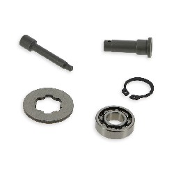 Kit riparazione frizione per Quad Shineray 250cc ST-9E (Tipo 2), Ricambi quad 250cc STIXE ST9E