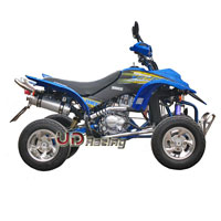 Quad 250cc Shineray Racing  (blu) Bilder 2