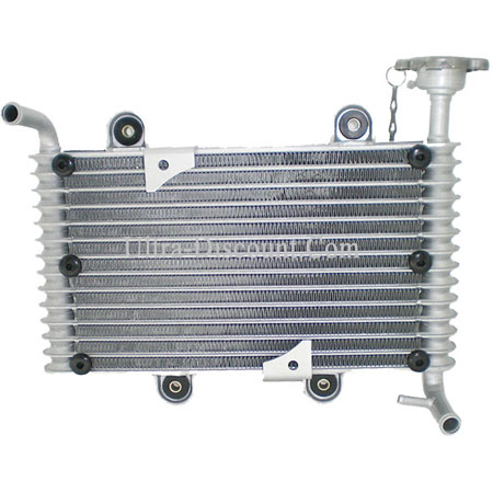 Radiatore per Quad Bashan 200cc (BS200S-7) Bilder 1