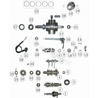 Guarnizione spy per pedale cambio per Quad Shineray STXE 250cc (14x28x7)